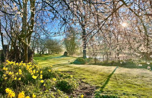 Ferienwohnung mit Luxusbad, Terrasse Ostseenähe - Foto 15