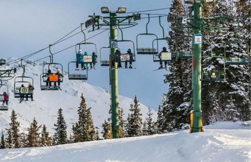 New-Game Room-Nearby Lake-Airport-Family-Bear Haus - Photo 19