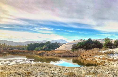 Green House - Foto 57