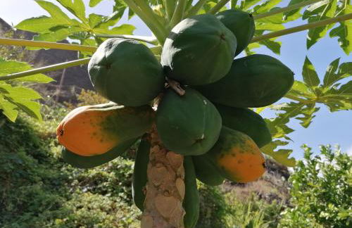 Casa Juana - Foto 17