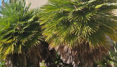 Casa Voglia di Mare - Foto 4