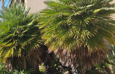 Casa Voglia di Mare - Foto 4