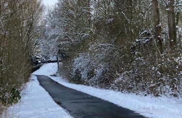 FH "Schmetterling" am See im hessischen Bergland - Photo 33