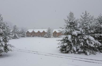 2BR Rustic Villa - Foto 38