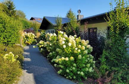 BayVista, die Bayerwald Lodge - Foto 19