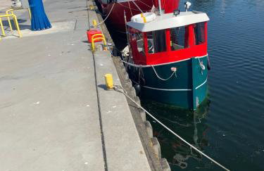 Villa Konik Morski - Foto 8