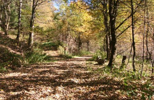 Landhaus Gnacke - Foto 49