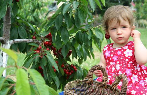 Gut Hügle Erlebnishof & Spa - Foto 19