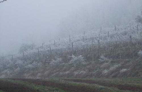 Agriturismo Cascina Rossano - Foto 55
