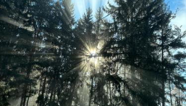 Forchnerhof Panorama - Dolomitenblick - Foto 5