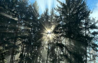 Forchnerhof Panorama - Dolomitenblick - Photo 5