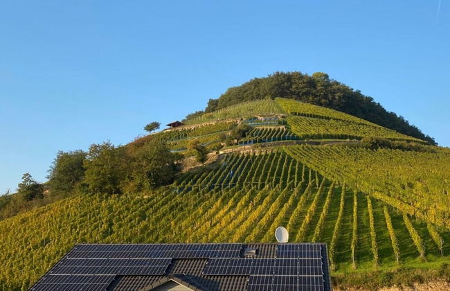 Holiday Apartment Forest - Foto 14