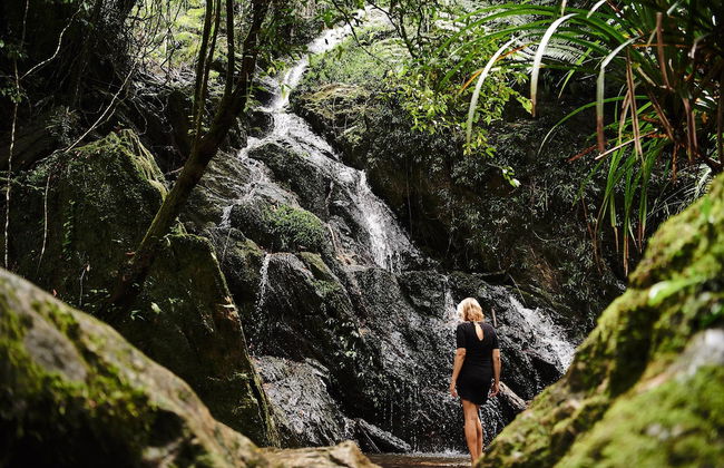 Daintree Ecolodge - Photo 24