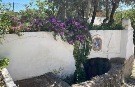 Quinta dos Canais - Photo 11