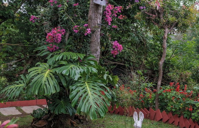 Ama Stays & Trails Bloomsville, Coonoor - Foto 49