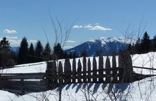 Pitznerhof - Foto 11