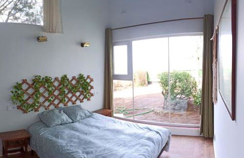 El Pinsapo - Foto 12