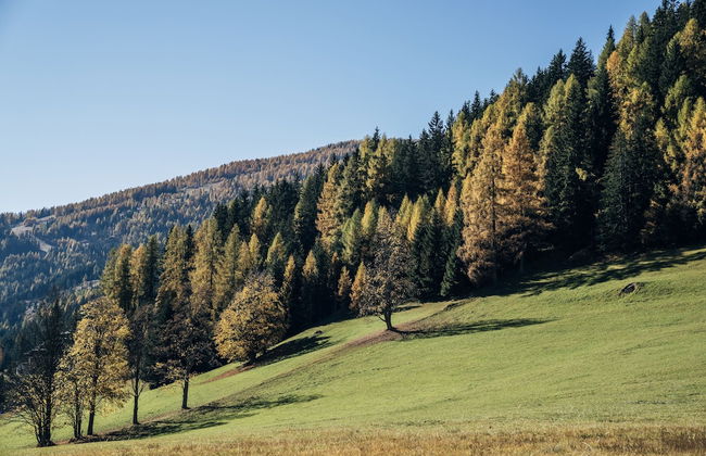 Slow Travel Resort Kirchleitn - OBERKIRCHLEITN - Photo 37