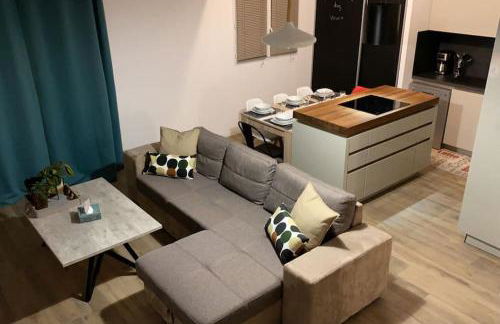 Belle maison climatisée - MEET - Aeroscopia - TRAMWAY - Photo 10