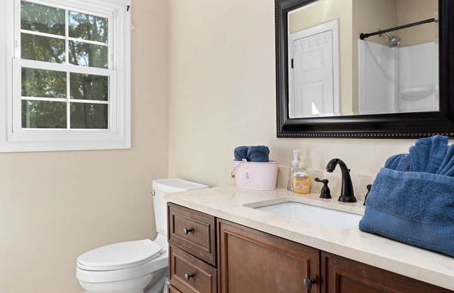 Waynesboro Home Near Wintergreen Charlottesville - Photo 29