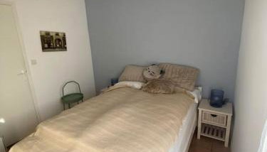 L'Océan, maison avec jardin clos - Foto 5