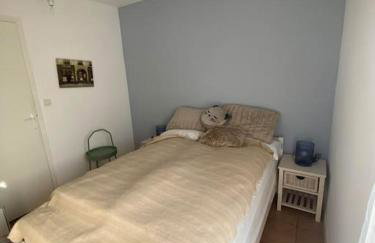 L'Océan, maison avec jardin clos - Foto 5