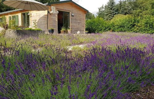 Chalet "Waldhauszeit" am See - Photo 1