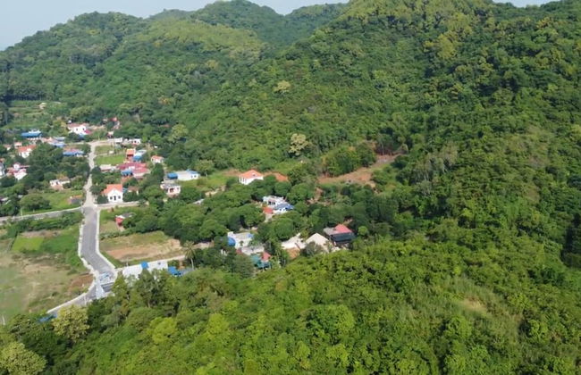 Bee Lucky Homestay - Photo 60