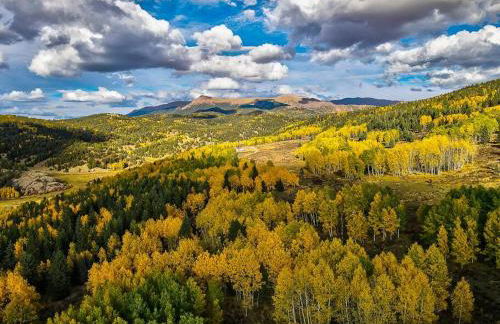 Monarch Landing, A Cozy Cabin w/360 Mountain Views - Foto 24