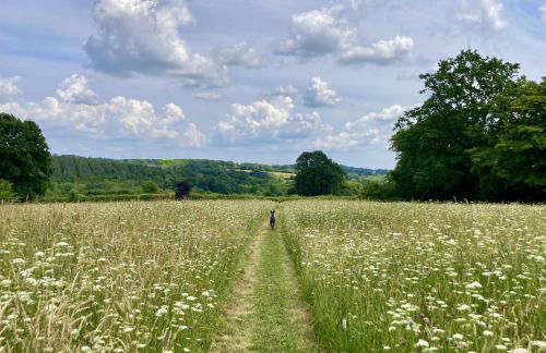 The Old Workshop, Wadhurst - Foto 36