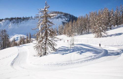 Appartement Puy-Saint-Vincent - Foto 10