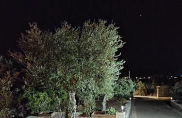 Cottage in Nature - Foto 13