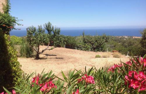 Villa A Scopa à Lumio en Corse avec piscine chauffée, vue mer panoramique, climatisation, jardin arboré de 3000m2, 10 pers, 5 Chb, 4 Sdb - Foto 65
