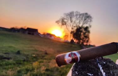 Vigor Horses - Foto 35