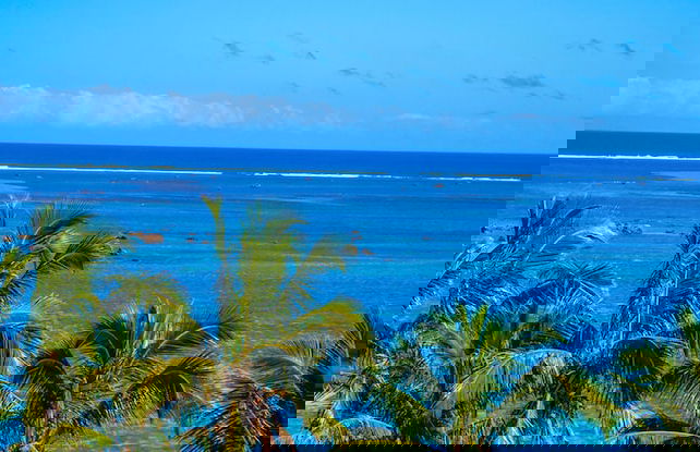 Seafront Apartment Coral Coast - Photo 53