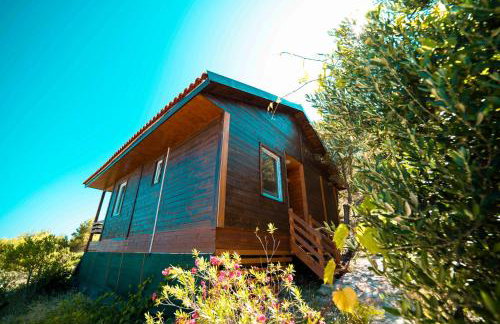 Marepromo Žirje - Foto 45