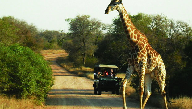 Kruger National Park Open Vehicle Safari - Photo 2