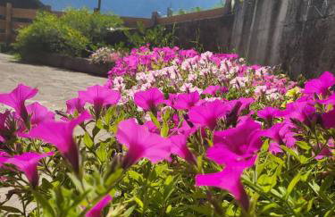Terrazza Bloom - Foto 24