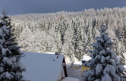 Monteur- und Ferienwohnung Waldrauschen - Foto 75