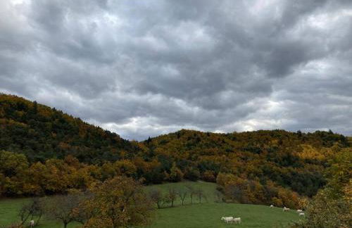 Cottage Sainte Marguerite - Foto 20