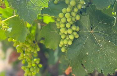 Aegean Endless Summer Villa Pefkos - Foto 7