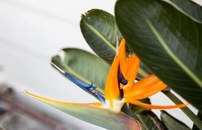 Cozy 2 BR Home With hot tub and Patio - Foto 15