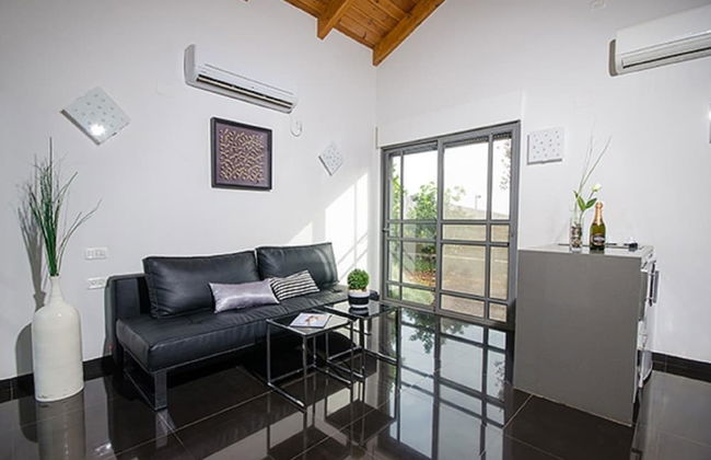 Black and White Holiday - Photo 6