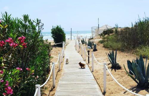 Casa Vacanze Sea Sicily - Foto 21