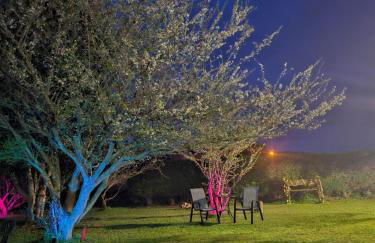 Apartamentos Castello - Foto 71