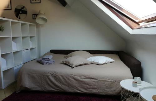 L1 - Green and cosy flat close Paris - WIFI - Foto 5