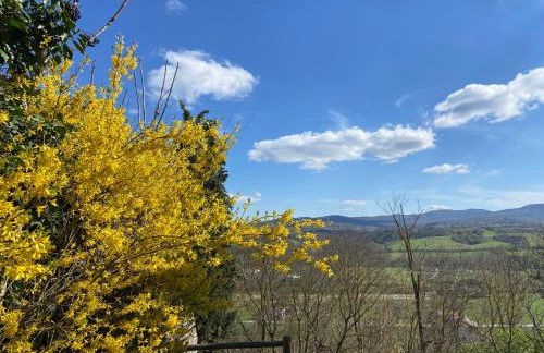 Lo Sdrucciolo - Foto 27