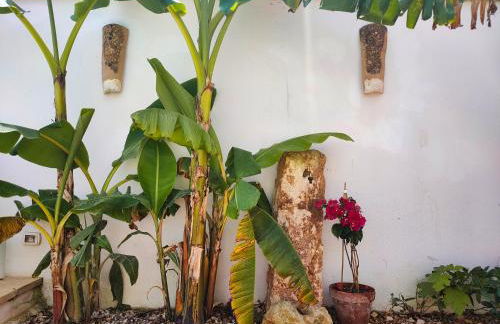 Da Lorenza di Casa Camilla Journey - Foto 30