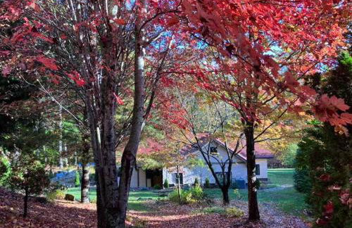 Apeldoorn House - 25 min to downtown Asheville - Foto 31