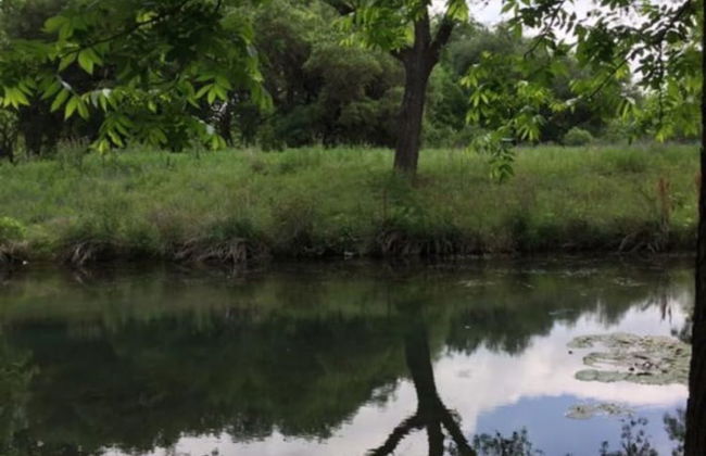 Frio Springs Lodges - Photo 39